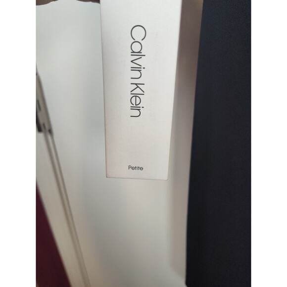 Calvin Klein NWT Chiffon Sheer Bell Sleeve Straight Classic Sheath Dress Size 2p - Picture 4 of 6